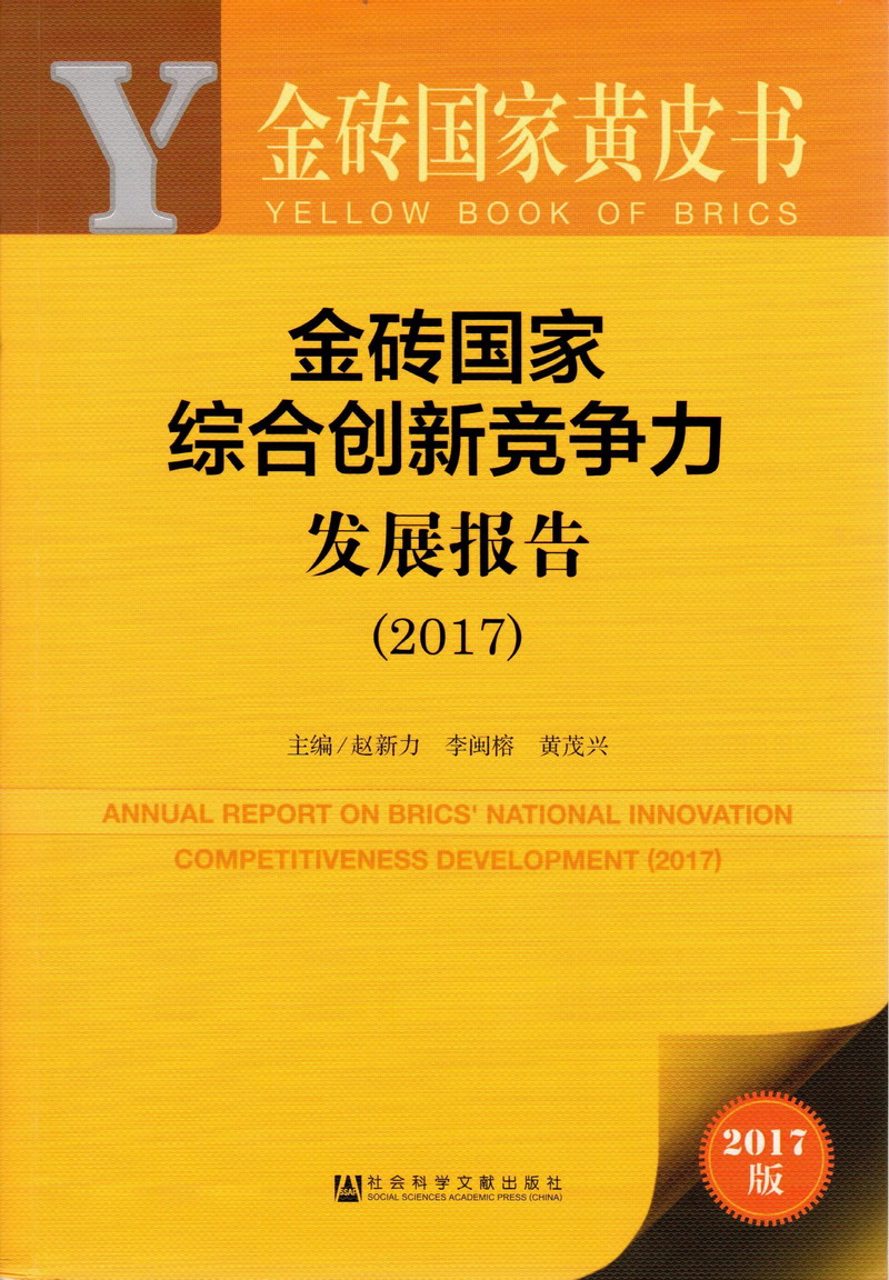 国产操逼免费看!金砖国家综合创新竞争力发展报告（2017）